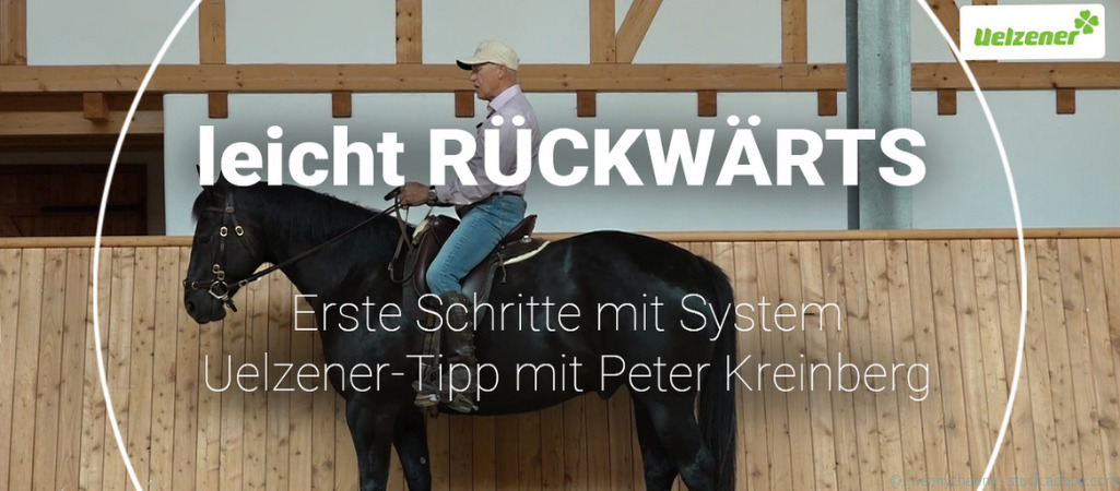 Peter Kreinberg auf Pferd. Zeigt Übung zum Rückwärtsausrichten.
