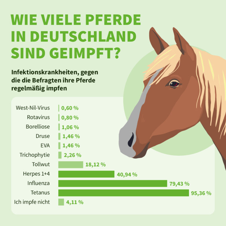 Herpes beim Pferd – frühzeitig erkennen und vorbeugen | Uelzener