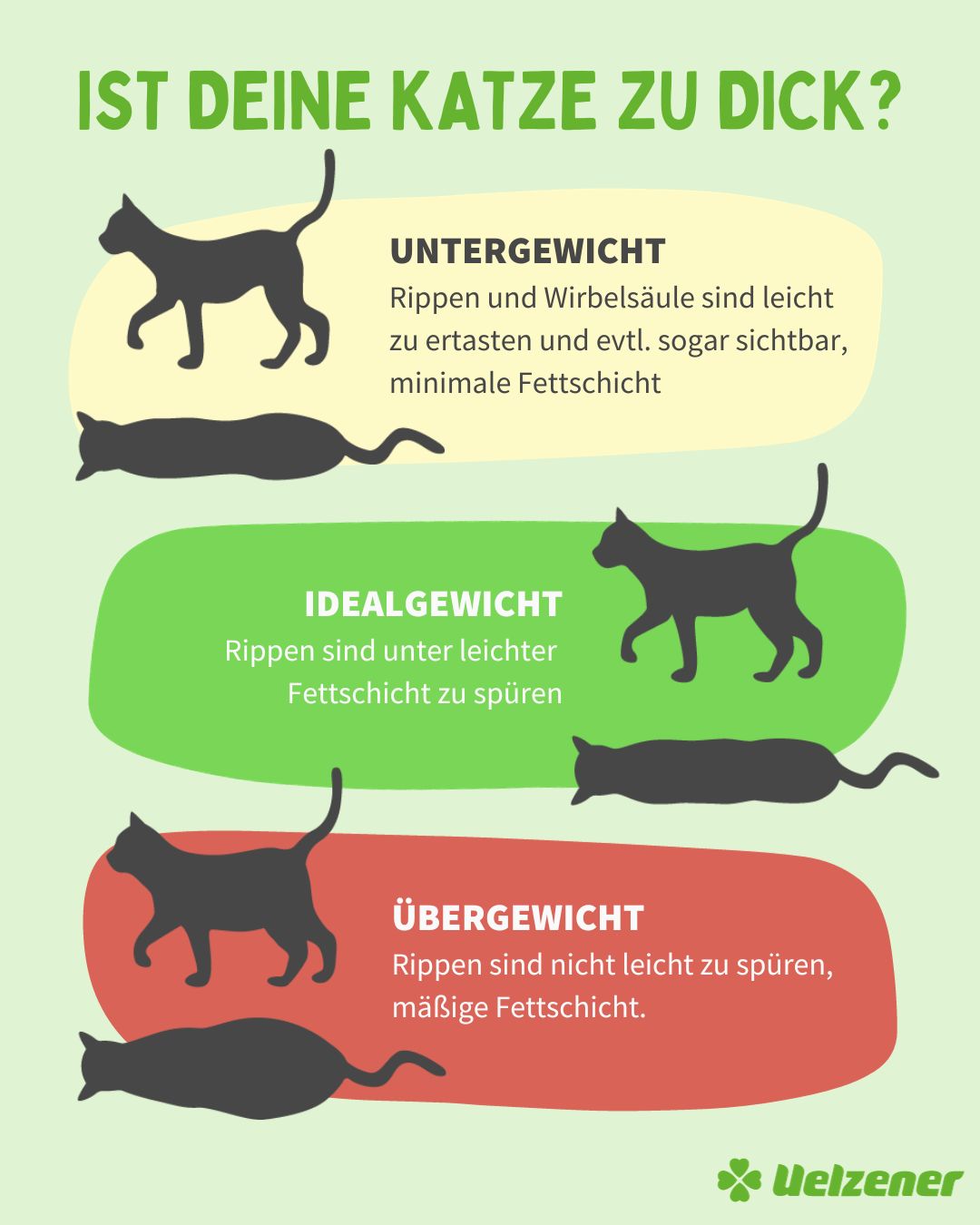 Wie Setze Ich Meine Katze Auf Diät Gewichtsprobleme bei Katzen: Woran erkenne ich, ob meine Katze zu dick