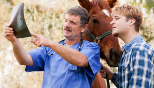 Arzt zeigt jungem Mann Röntgenbild einer Pferdehufe.