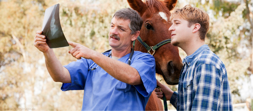 Arzt zeigt jungem Mann Röntgenbild einer Pferdehufe.