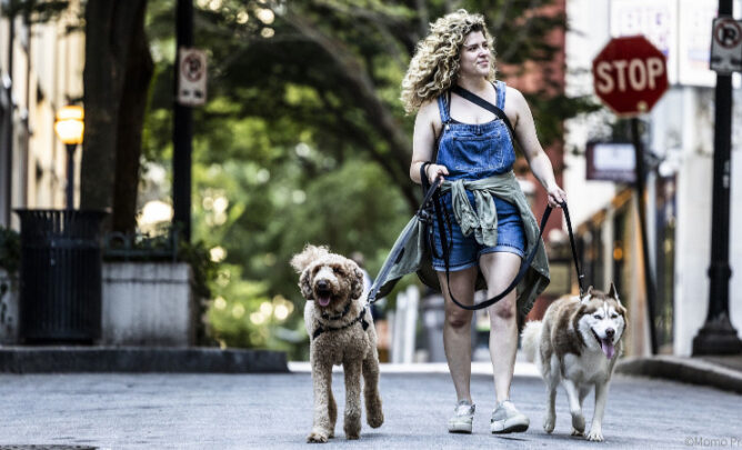 Frau mit zwei Hunden beim Gassi in der Stadt.