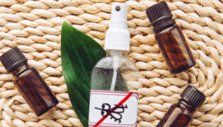 DIY Anti-Mücken-Spray für Pferde.