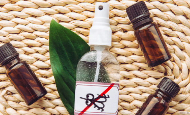 DIY Anti-Mücken-Spray für Pferde.