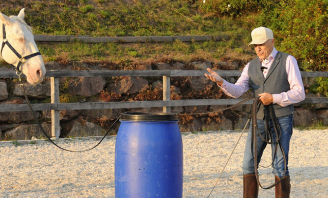 Peter Kreinberg übt mit Pferd.