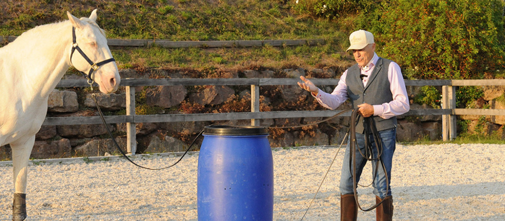 Peter Kreinberg übt mit Pferd.