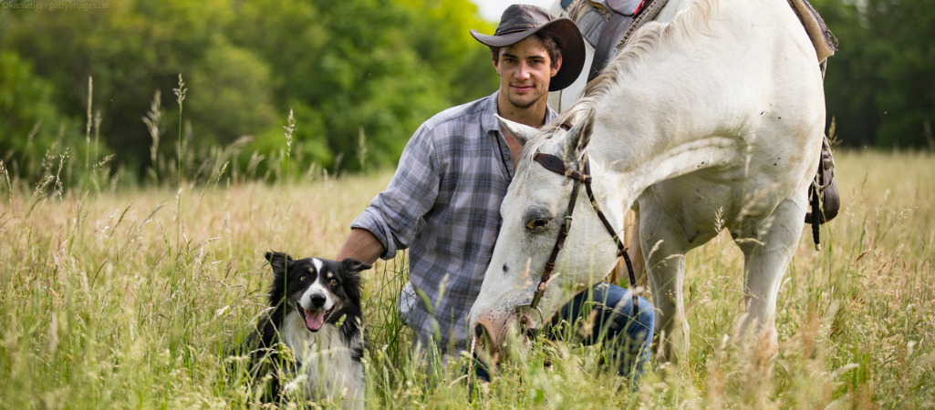 Mann mit Pferd und Reitbegleithund auf einer Wiese.