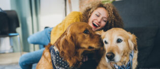 Frau spielt mit zwei Hunden auf dem Sofa.