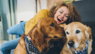 Frau spielt mit zwei Hunden auf dem Sofa.