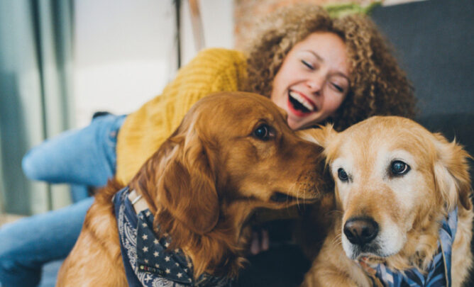 Frau spielt mit zwei Hunden auf dem Sofa.
