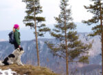 Eine Frau und ein Hund stehen vor einem Abhang im Wald und schauen auf ein Gebirge