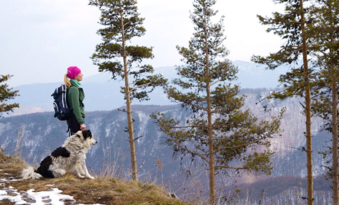 Eine Frau und ein Hund stehen vor einem Abhang im Wald und schauen auf ein Gebirge