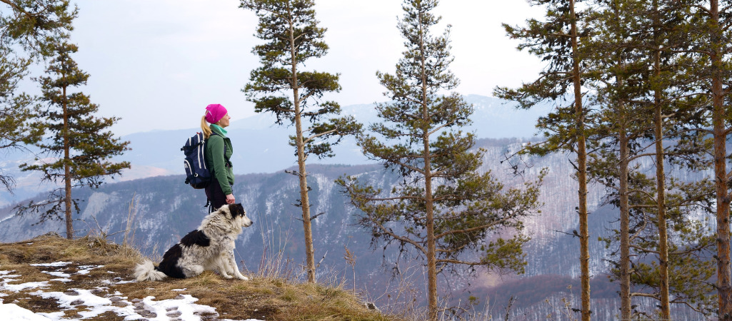 Eine Frau und ein Hund stehen vor einem Abhang im Wald und schauen auf ein Gebirge