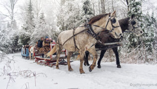 Zwei Pferde ziehen einen Schlitten mit Menschen darauf durch den Schnee über einen Pfad. Im Hintergrund sind vom Schnee bedeckte Bäume zu sehen.