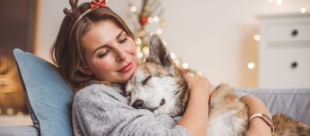 Frau kuschelt mit Husky Hund in weihnachtlicher Atmosphäre mit Lichterketten im Hintergrund.