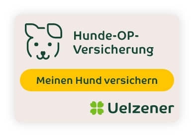 Banner Hunde-OP-Versicherung