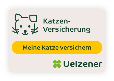 Banner Katzenversicherung