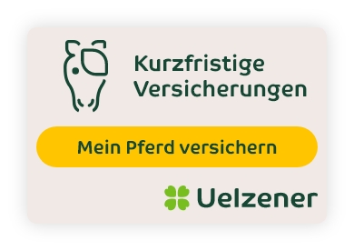 Banner Kurzfristige-Versicherungen