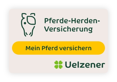 Banner Pferde-Herden-Versicherung