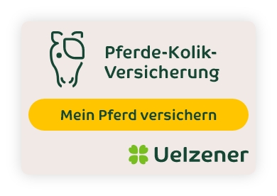 Banner Pferde-Kolik-Versicherung