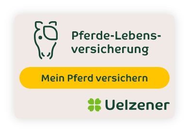 Banner Pferde-Lebens-Versicherung