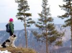 Eine Frau und ein Hund stehen vor einem Abhang im Wald und schauen auf ein Gebirge