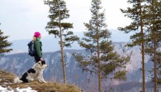 Eine Frau und ein Hund stehen vor einem Abhang im Wald und schauen auf ein Gebirge