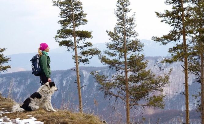 Eine Frau und ein Hund stehen vor einem Abhang im Wald und schauen auf ein Gebirge