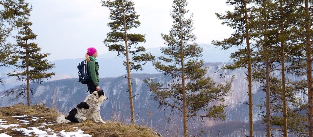 Eine Frau und ein Hund stehen vor einem Abhang im Wald und schauen auf ein Gebirge