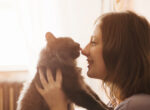 Auf dem Bild ist eine Katze zu sehen, die mit ihrem Frauchen im Arm schmust.