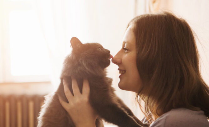 Auf dem Bild ist eine Katze zu sehen, die mit ihrem Frauchen im Arm schmust.