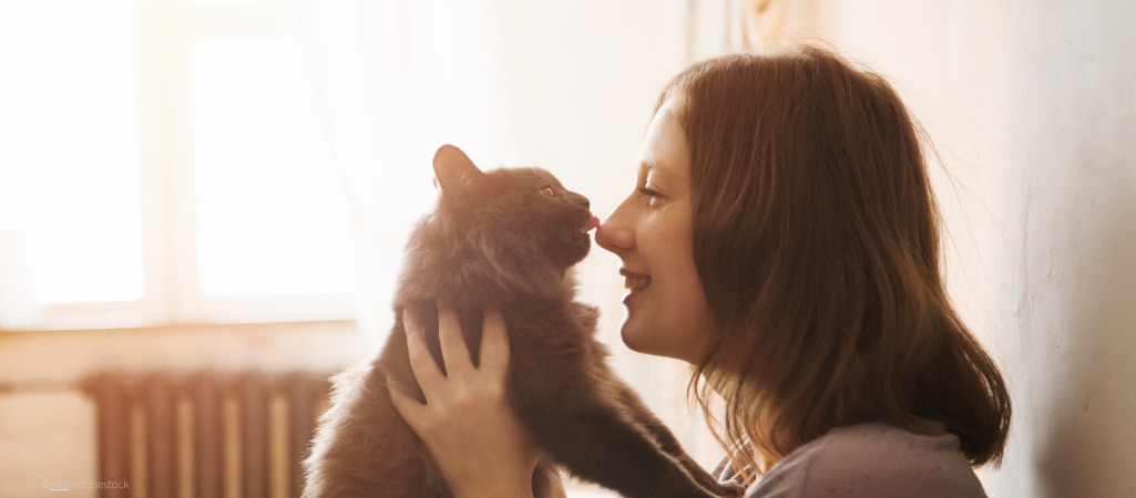 Auf dem Bild ist eine Katze zu sehen, die mit ihrem Frauchen im Arm schmust.