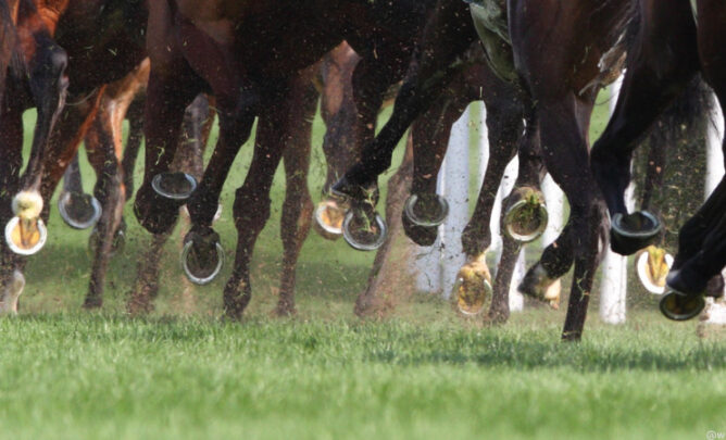 Auf dem Bild ist eine Herde Pferde zu sehen. Alle Pferde gallopieren auf einer Weide. Der Zoom ist auf die Hufen der Pferde ausgerichtet.