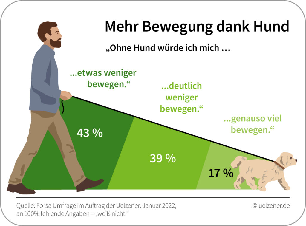 Infografik zu "Mehr Bewegung dank Hund".