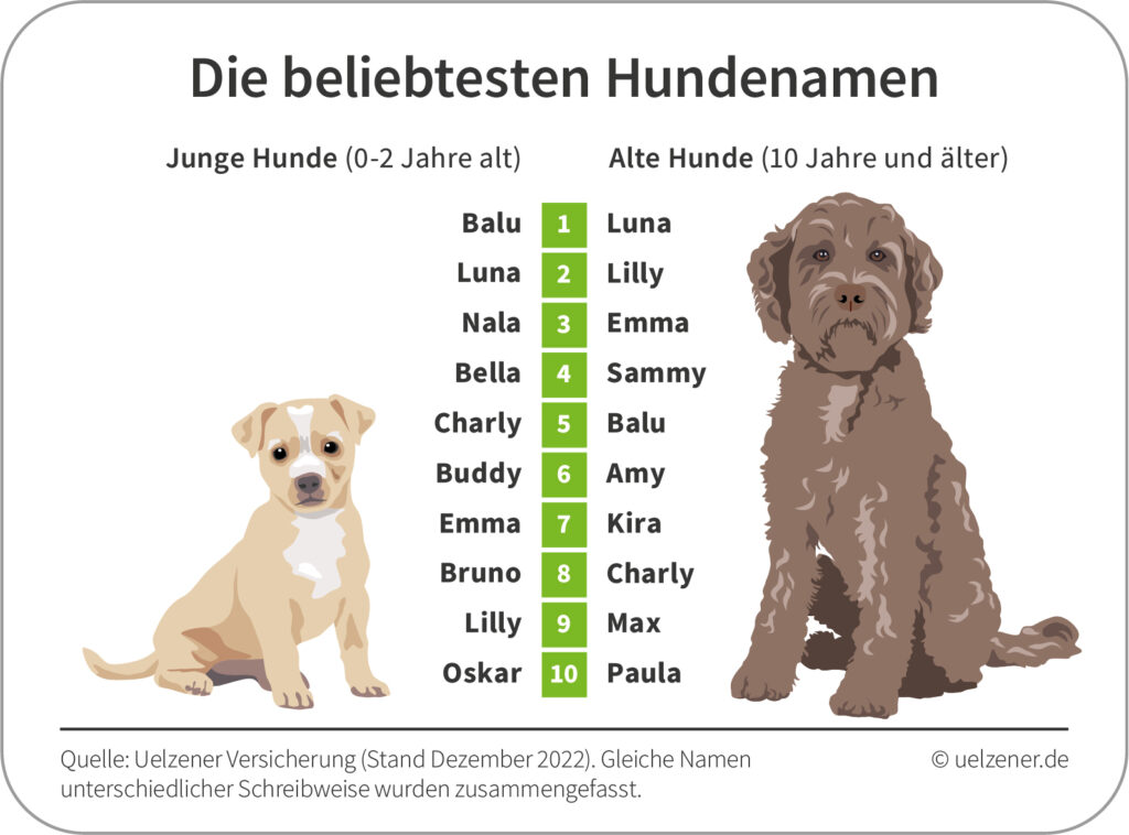 Infografik zu "Die beliebtesten Hundenamen" aus Kundendaten der Uelzener Versicherungen.