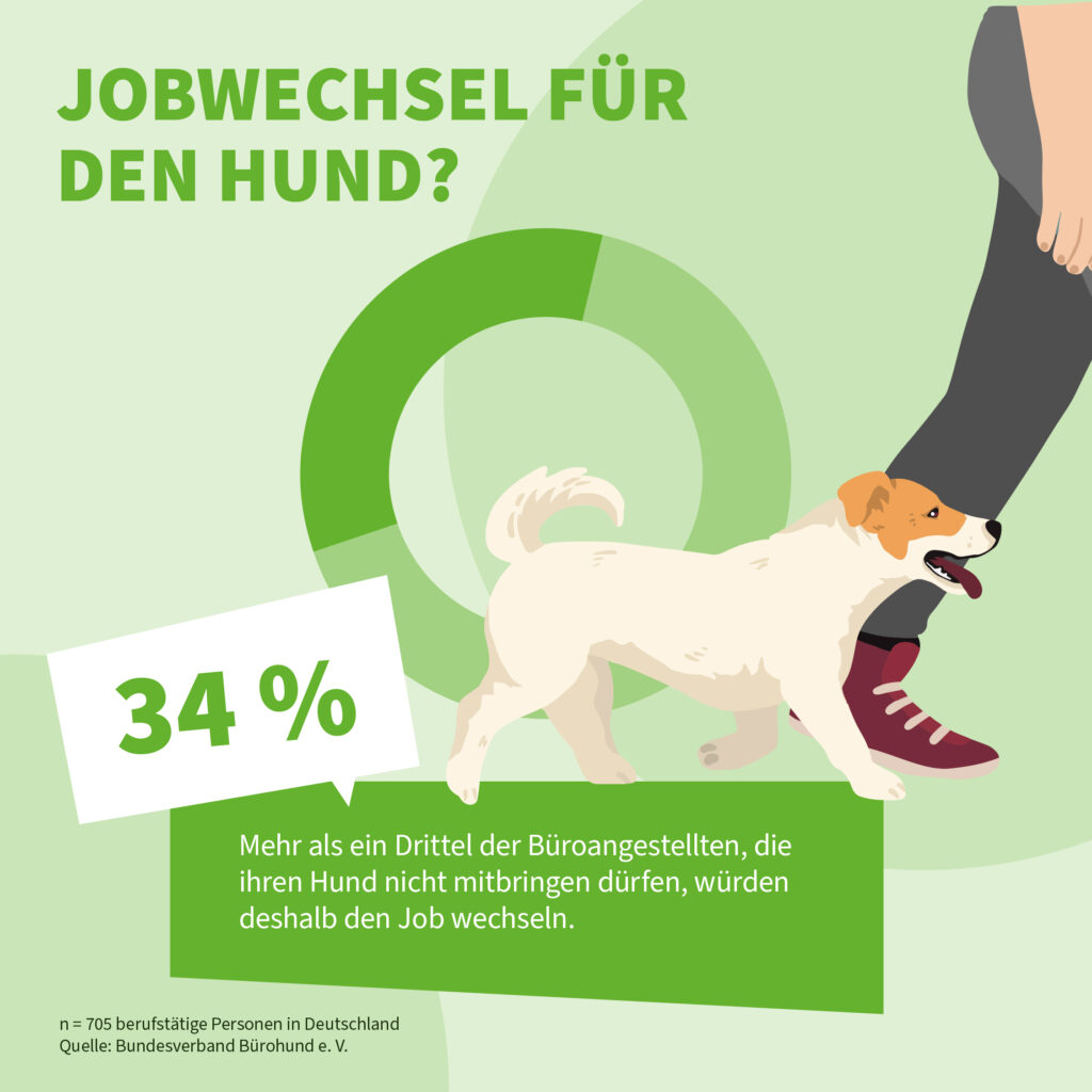 Infografik der Uelzener Versicherungen: Jobwechsel für den Hund.