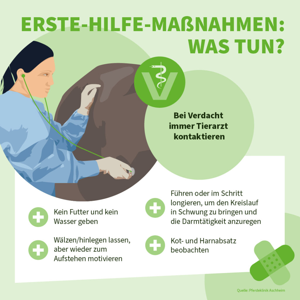 Infografik der Uelzener Versicherungen: Erste Hilfe Maßnahmen bei einer Kolik beim Pferd.