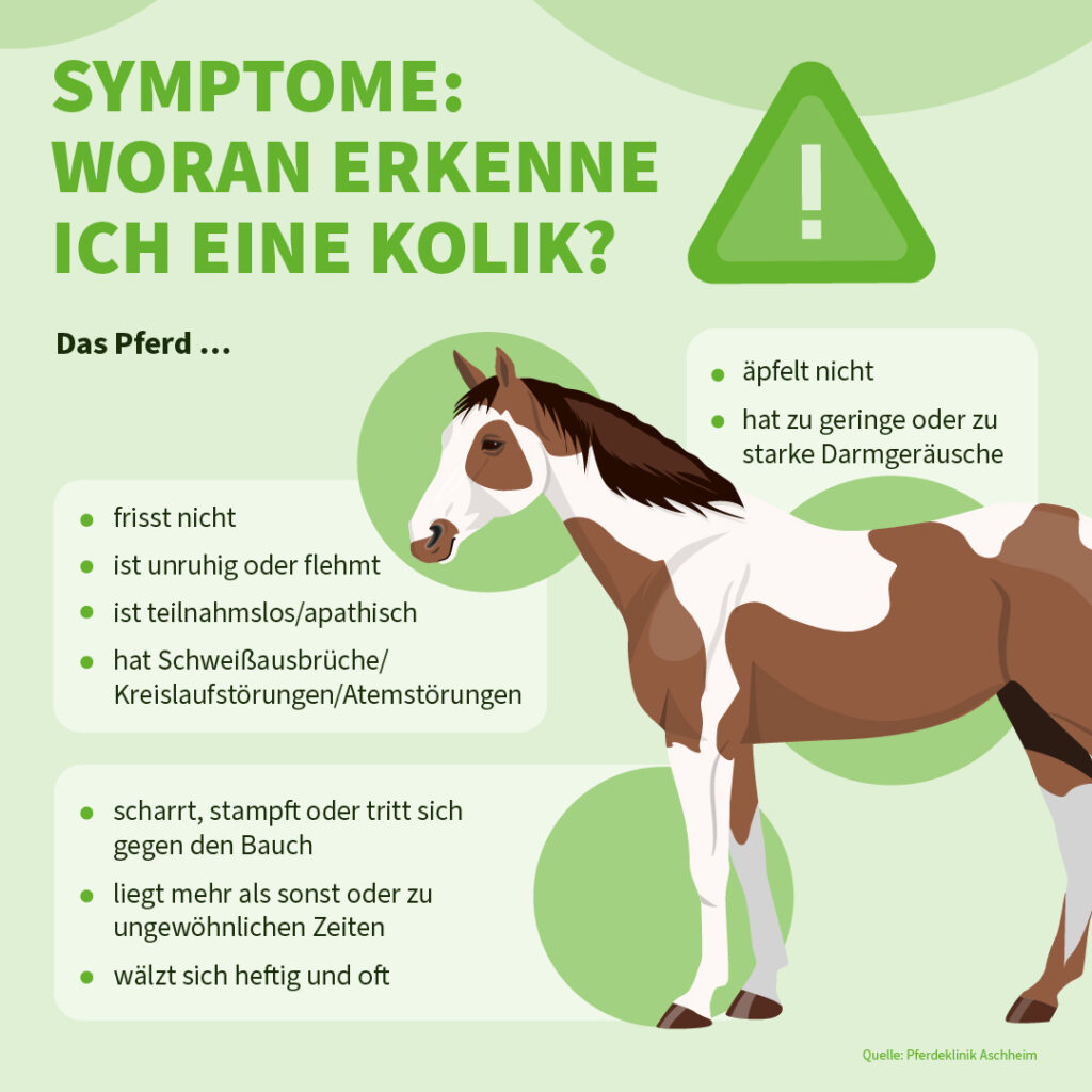 Infografik der Uelzener Versicherungen: Symptome einer Kolik beim Pferd.