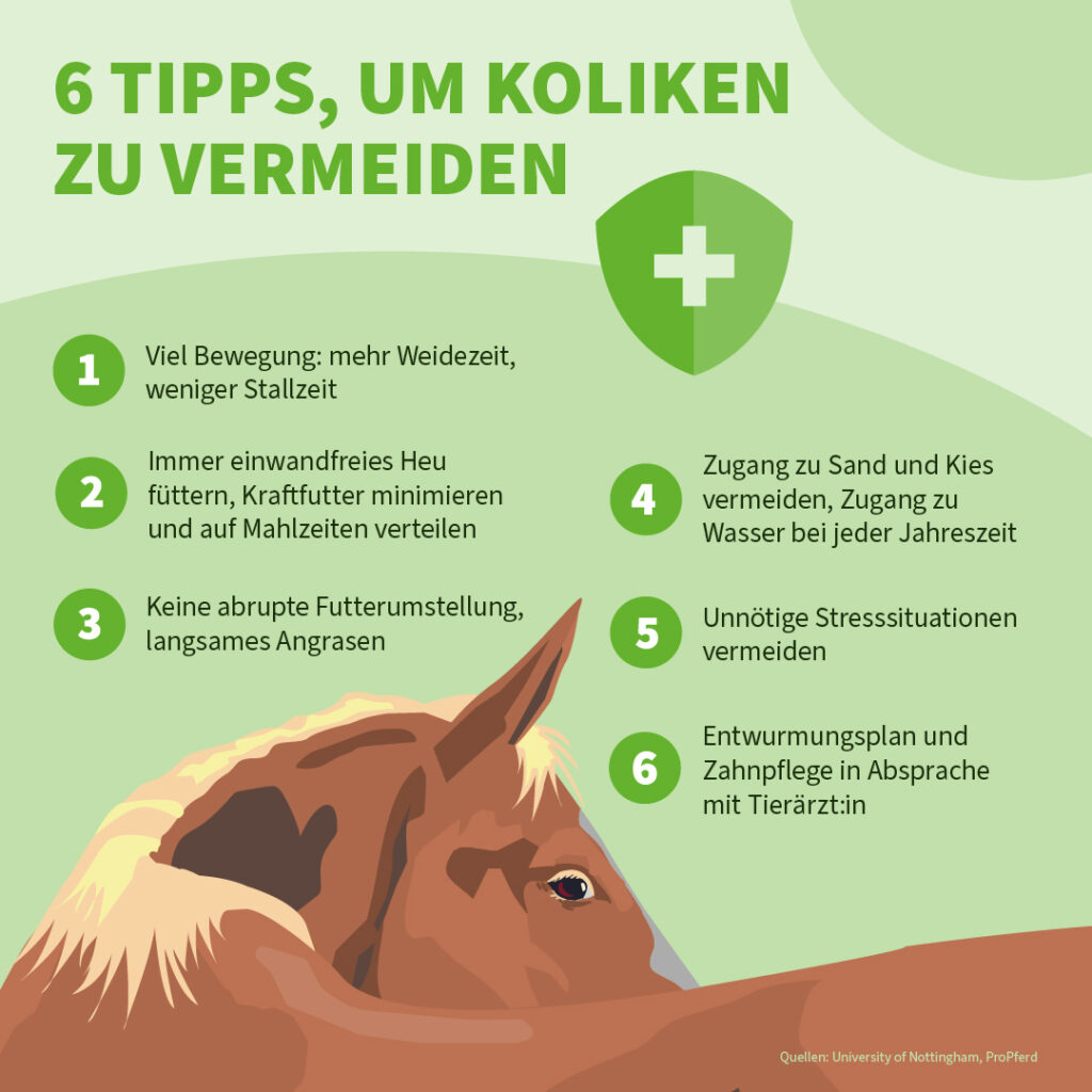 Infografik der Uelzener Versicherungen: Kolik beim Pferd vermeiden.
