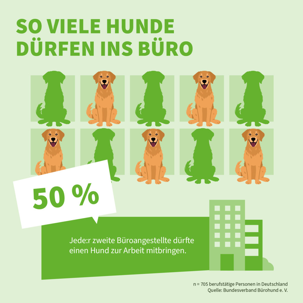 Infografik der Uelzener Versicherungen: So viele Hunde dürfen ins Büro.