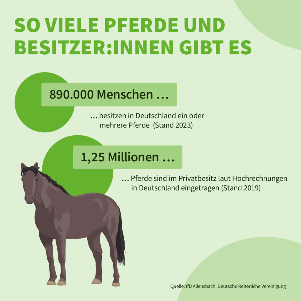 Infografik der Uelzener Versicherungen: So viele Pferdebesitzer:innen gibt es.