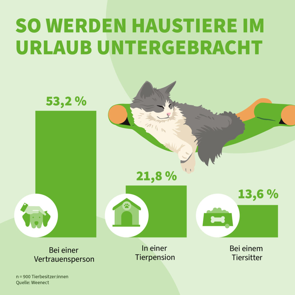Infografik der Uelzener Versicherungen: So werden Katzen im Urlaub untergebracht.