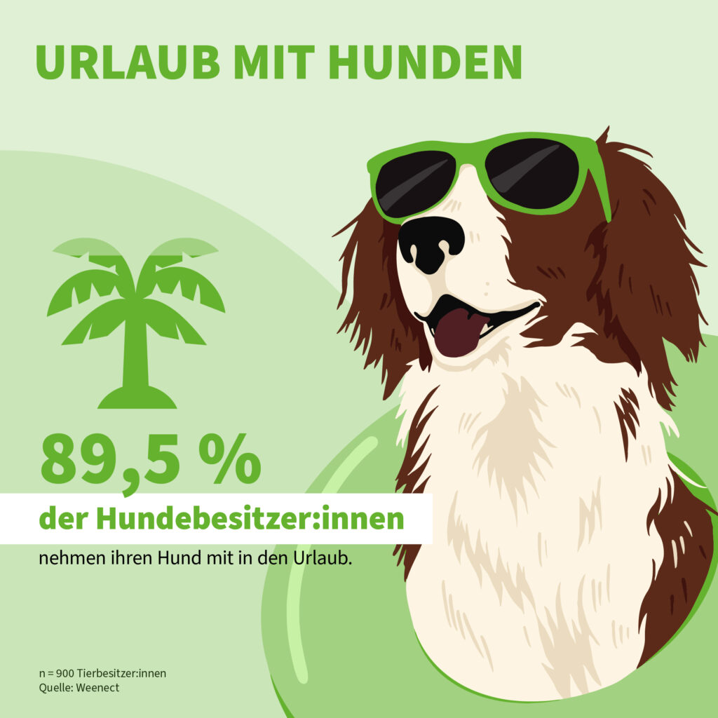 Infografik der Uelzener Versicherungen: Urlaub mit Hund.