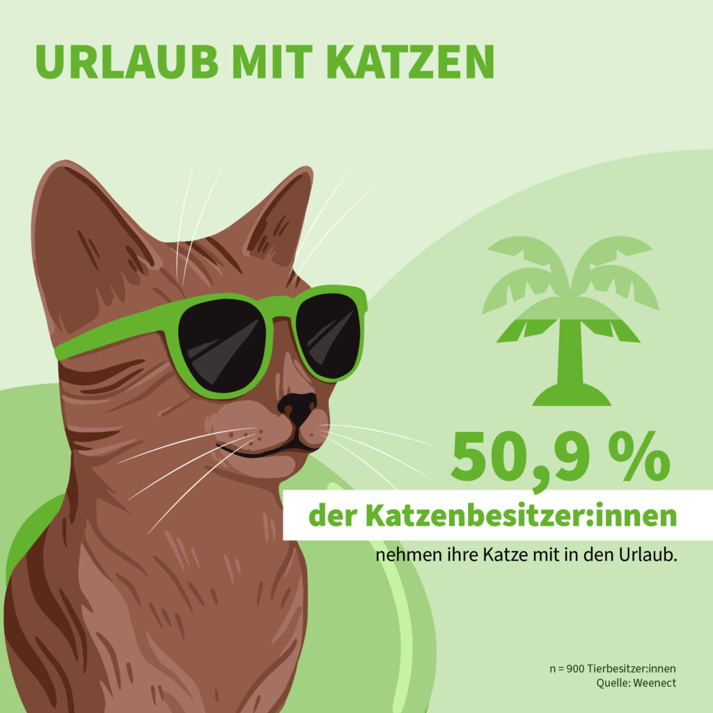 Infografik der Uelzener Versicherungen: Urlaub mit Katze.