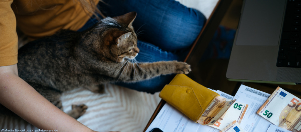 Wie viel kostet eine Katze pro Monat?