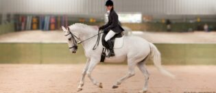 Englisch Reiten: Frau auf Schimmel.