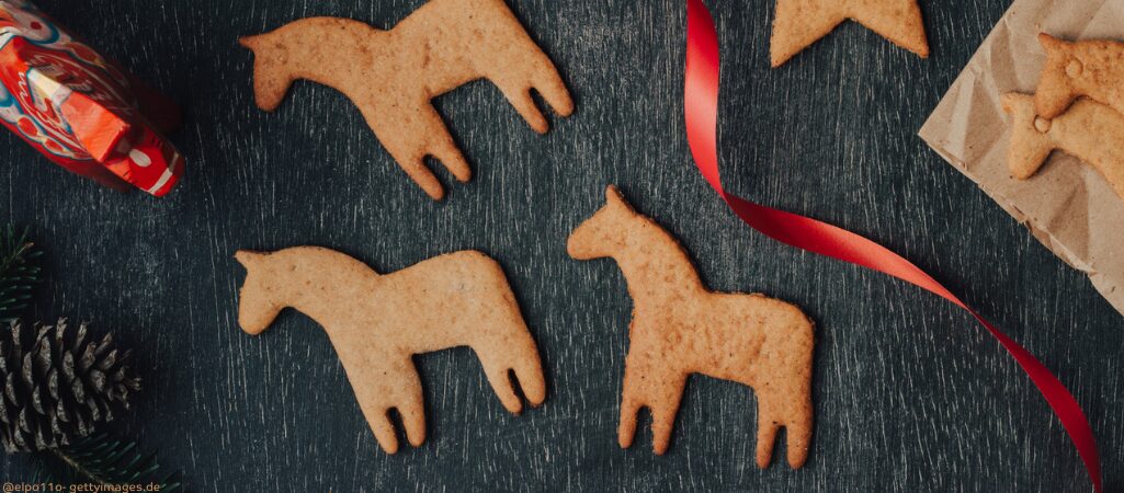 Gebackene Kekse für Pferde.