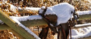 Sattel von Schnee bedeckt.