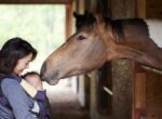 Ein Mutter mit Baby werden von einem Pferd liebevoll beschnuppert.