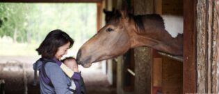 Ein Mutter mit Baby werden von einem Pferd liebevoll beschnuppert.